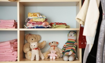 Up to 42% Off on Home Organization at ProSmart Kleen