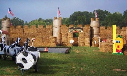 Admission for Two or Four with Pumpkins to Butcher's Family Fun Farm (Up to 33% Off)