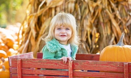 One or Two Single-Day Unlimited Ride Wristbands at Pa's Pumpkin Patch (Up to 64% Off)