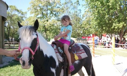 Farm Ticket and Pumpkin for One, Two, or Four at Green Meadows Petting Farm (Up to 12% Off)