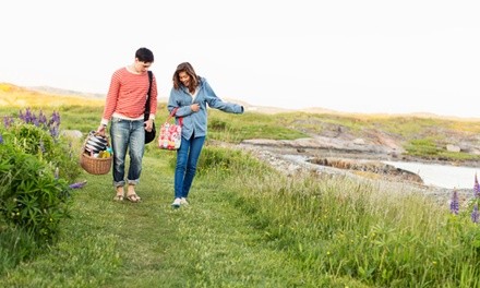 Up to 35% Off on Seasonal Photography at Michael Allen Photography