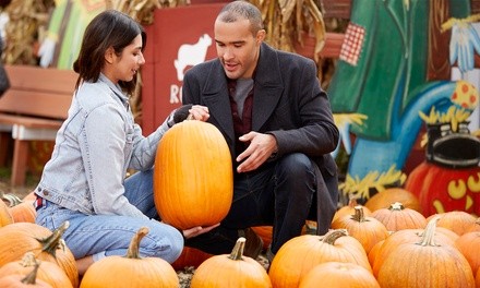 Fall Farm Bash at Bankersmith Texas on Saturday, October 30, 2021, at 12 p.m.