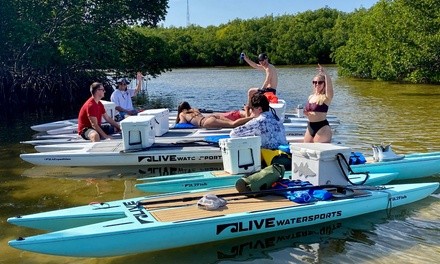 Two-, Three-, or Four-Hour Guided Paddleboard Tour for One at SaltyVida (Up to 10% Off)