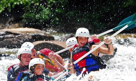 Whitewater Rafting for One, Two, or Six on Middle Ocoee River from High Country Adventures (Up to 56% Off) 