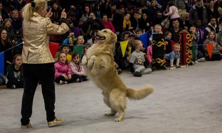 $8 for Single-Day Admission for One Adult to Pet Expo, November 6–7 ($11 Value)