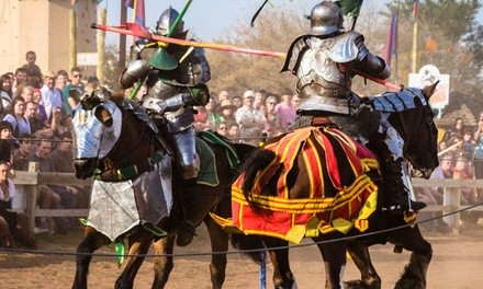 Single-Day Admission to Michigan Renaissance Festival‎ on August 21 to October 3 (Up to 15% Off)