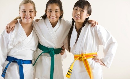 10 or 16 Martial-Arts Classes and Uniform with Option for Test and a Graduation Belt at Go2Karate (95% Off)