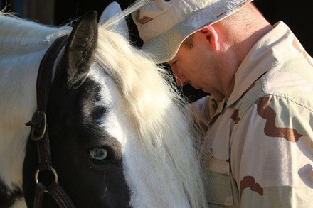 Up to 35% Off on Horse Back Riding - Recreational at Providence Heart Ranch