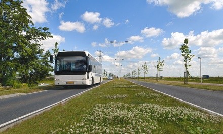 Up to 32% Off on Bus Transport Service at WoodburyBus.com
