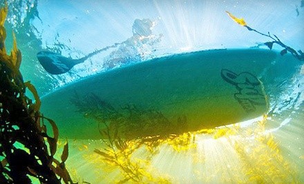 Paddleboard, Kayak, or Snorkeling Tours at PaddleAwaySports (Up to 51% Off)