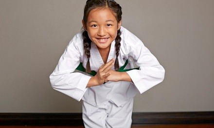 $31 for $134 voucher — Karate Academy Alamo Ranch