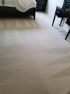 Carpet Cleaning from All City Cleaning Services