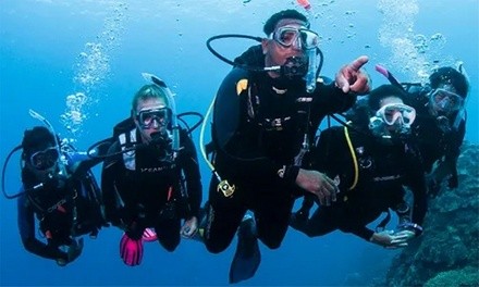 Five-Day All-Inclusive PADI Open-Water Certification Course