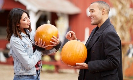 Family Pack Admission to Charming Pony Parties Fall Festival (Up to 41% Off)