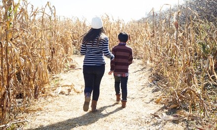 General Admission for One or Two to CATHIS Farm (Up to 50% Off)