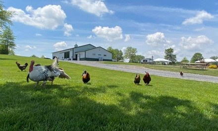 One, Two, or Four General-Admission Tickets to Green Meadows Petting Farm (Up to 25% Off)