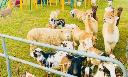 $60 for Farm Tour and Petting Zoo for Up to Six People at Downs On The Farm ($75 Value)