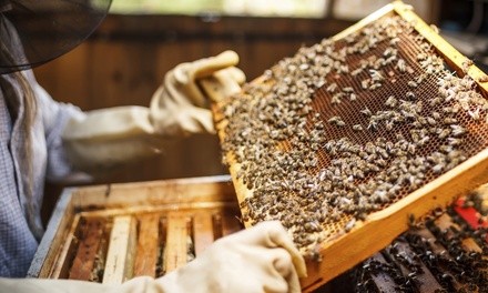 Up to 24% Off on Gardening / Farming / Beekeeping Education at Bell Family Farm and Apiary LLC