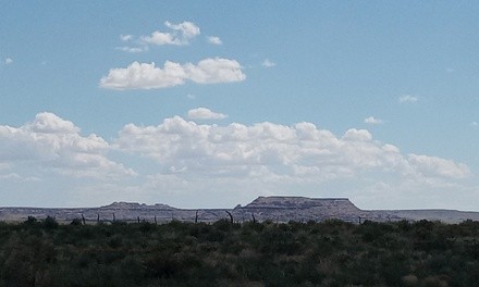 Up to 50% Off on Camp - Survival - Adult Only at Ultimate Acres