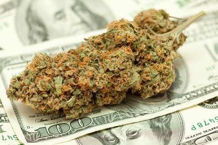 Up to 90% Off on ELearning Class Growing Marijuana for Beginners