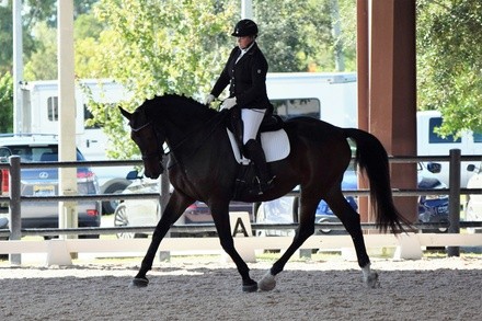 Up to 35% Off on Horse Back Riding - Training at Invictus Farm