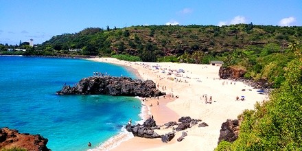 Up to 60% Off on City Tour at Rainbow Transportation Inc.