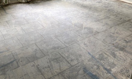 House Tile or Carpet Removal from Total Floor Removal (Up to 50% Off). Two Options Available.