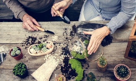 Succulent Terrarium Workshop for One, Two, or Four at Color Cocktail Gallery (Up to 36% Off)