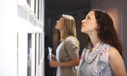 Up to 50% Off on Fine Art / Sculpture (Retail) at 3-Step Therapy