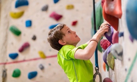 Up to 53% Off on Climbing - Indoor at The Plex