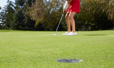 9-Hole Round of Golf for Two or Four with Cart Rental at Rolling Hills Golf Course (Up to 34% Off)