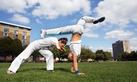 $40 for $90 Worth of Products — Ann Arbor Capoeira: CDO