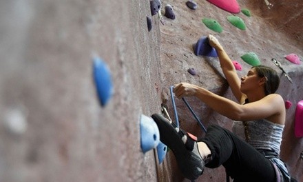 Up to 29% Off on Climbing - Indoor at Adventure Rock Climbing Gym