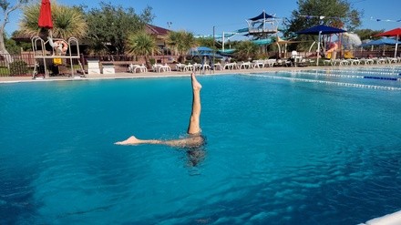 Up to 50% Off on Swimming / Pool (Activity / Experience) at Arizona Synergy Artistic Swimming