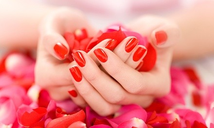 Up to 40% Off on Manicure - Shellac / No-Chip / Gel at For Date Night