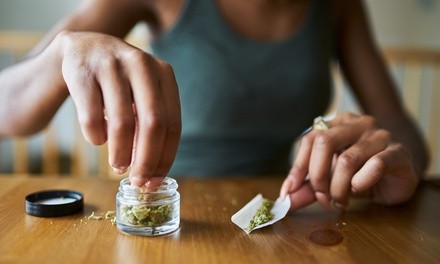 Up to 95% Off on Medical Marijuana Treatment at The Healing Plant