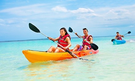 Paddleboard, Kayak, or Beach Chair Rental at Miami Watersports (Up to 80% Off). Three Options Available.