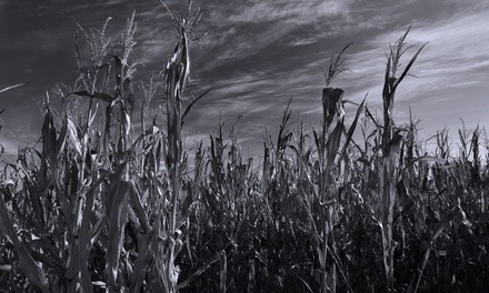 Moonlight Combo Admission for All Attractions to Heap's Haunted Corn Maze (Up to 15% Off)