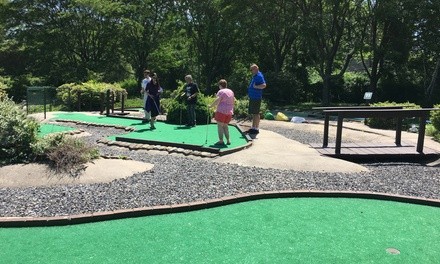 Admission for two or four for one, two or three activities per person at Putts and More (Up to 40% Off)