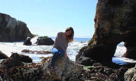 Up to 35% Off on Seasonal Photography at Cheshire Grin Photography LLC