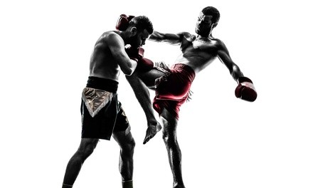 60- or 90-Minute Virtual Reality Boxing Session for One, Two, Four, or Six at Vanyo Martial Arts (Up to 30% Off)