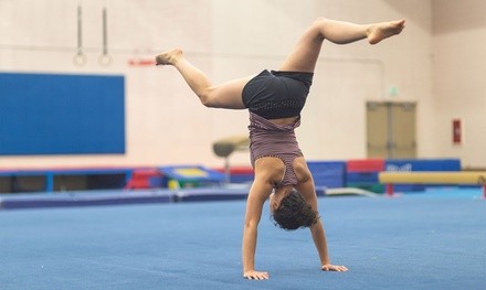 Tumbling, Dance and Cheer Classes at Buzy Body (Up to 98% Off). Three Options Available.