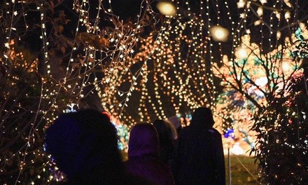 Tickets to NYC Winter Lantern Festival or Twilight at Night (Up to 35% Off)