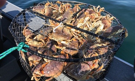 Six-Hour Crabbing Trip for One, Two, or Four at Bob Rees Fishing Guide (Up to 26% Off)