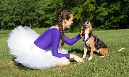 Up to 46% Off on Seasonal Photography at Sara Power Photography