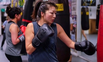 $49 for Five Fitness Classes at Third Street Boxing Gym ($150 Value)