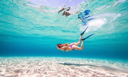 Up to 36% Off on Snorkel (Activity / Experience) at Epic Diving Adventures