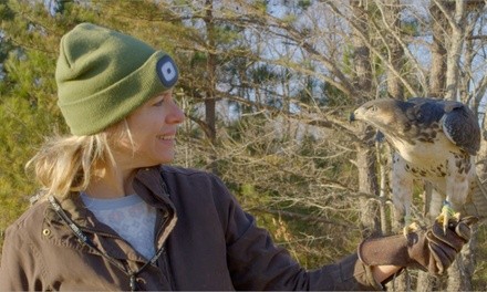 Up to 34% Off on Falconry - Recreational at Wing Blade Falconry