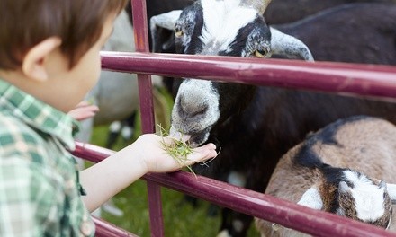 Single-Day Admission to 7 Acre Wood (Up to 31% Off). Four options available.