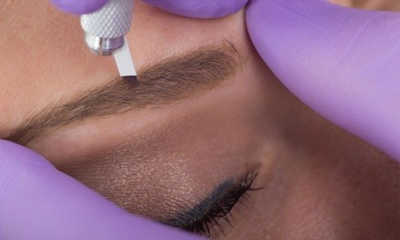 1 or 3 Permanent Makeup Services: Lip Blushing, Eyeliner, and Powder Brows at Wink Eyelash Salon (Up to 76% Off)